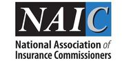 NAIC Logo